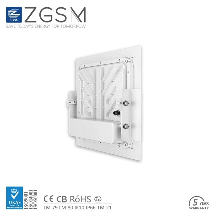 Recessed Canopy Light